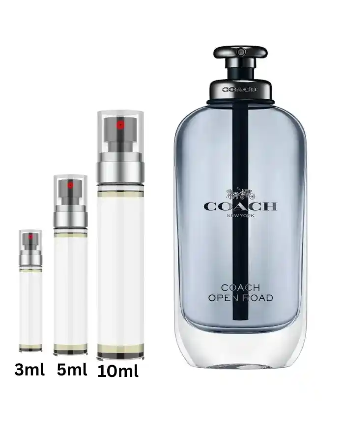 cheap_luxury_perfume_fragrances_in_dluxscent..