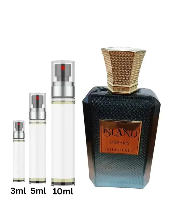 cheap_luxury_perfume_fragrances_in_dluxscent (8)